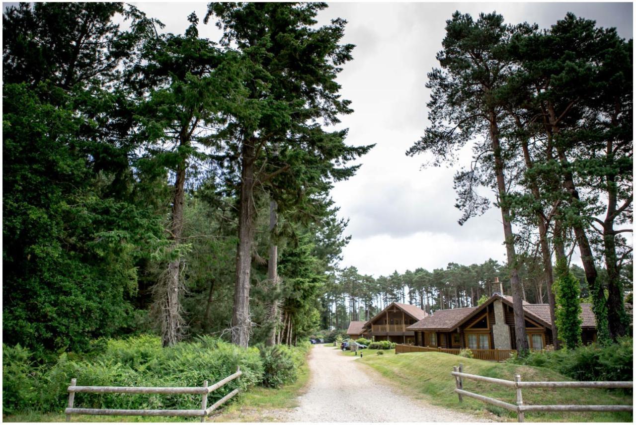 Dorset Resort Hotel East Stoke  Exterior foto